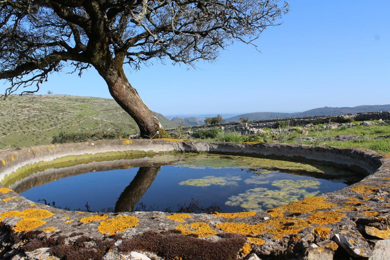 Rito Hall Da Serra Leiria Buitenkant foto
